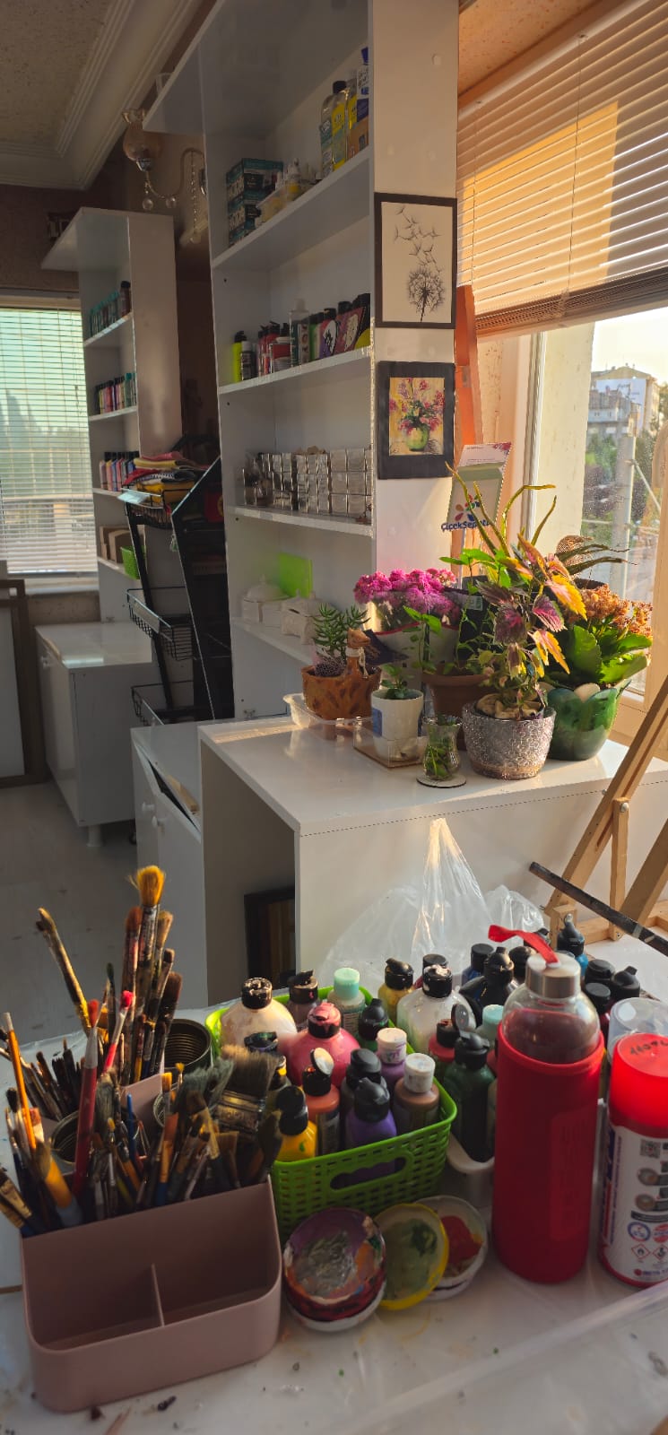 MSÜ Bando Çalışması 2